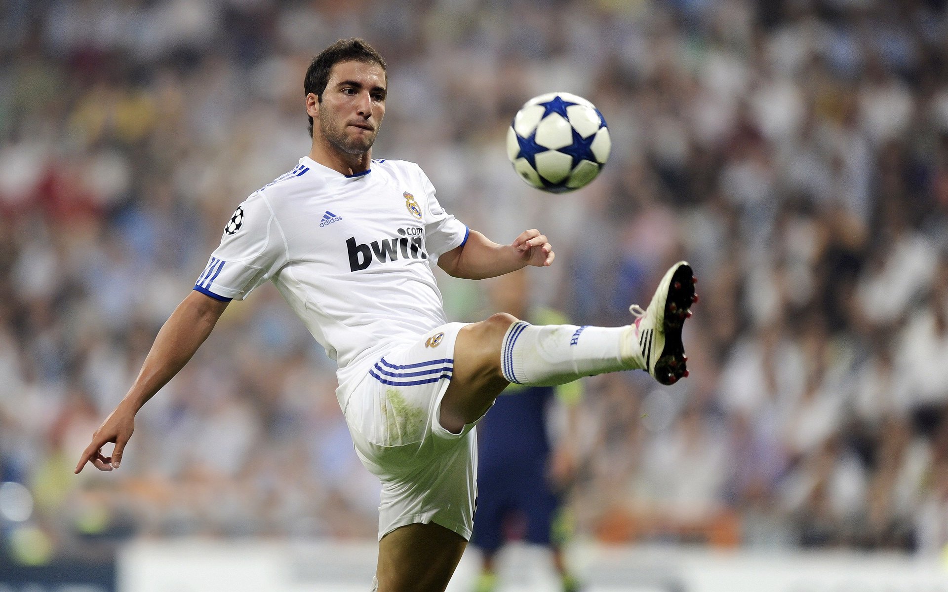 【场地优势】不同球场对比赛结果的影响详解,每个球场大小不同