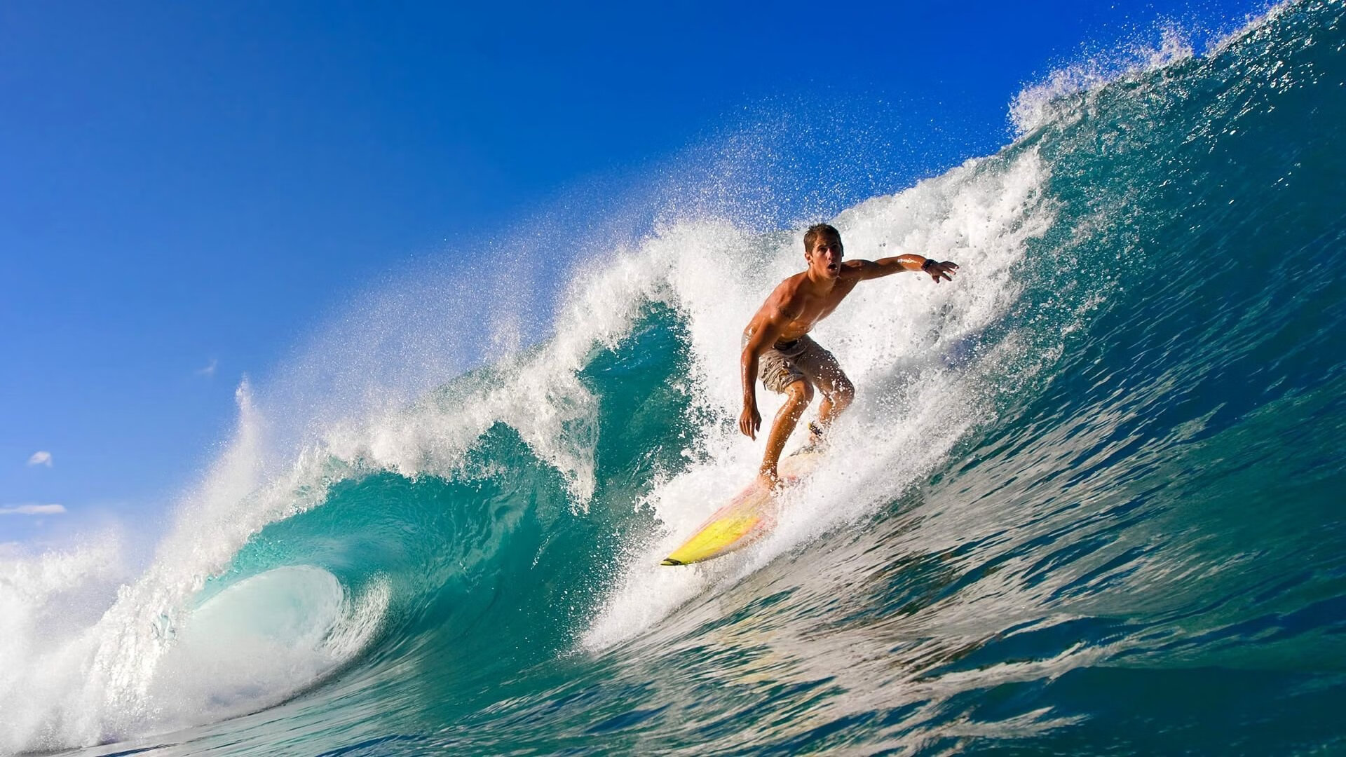 传统武术夏令营，传承技艺激发潜能，武术夏令营10天计划